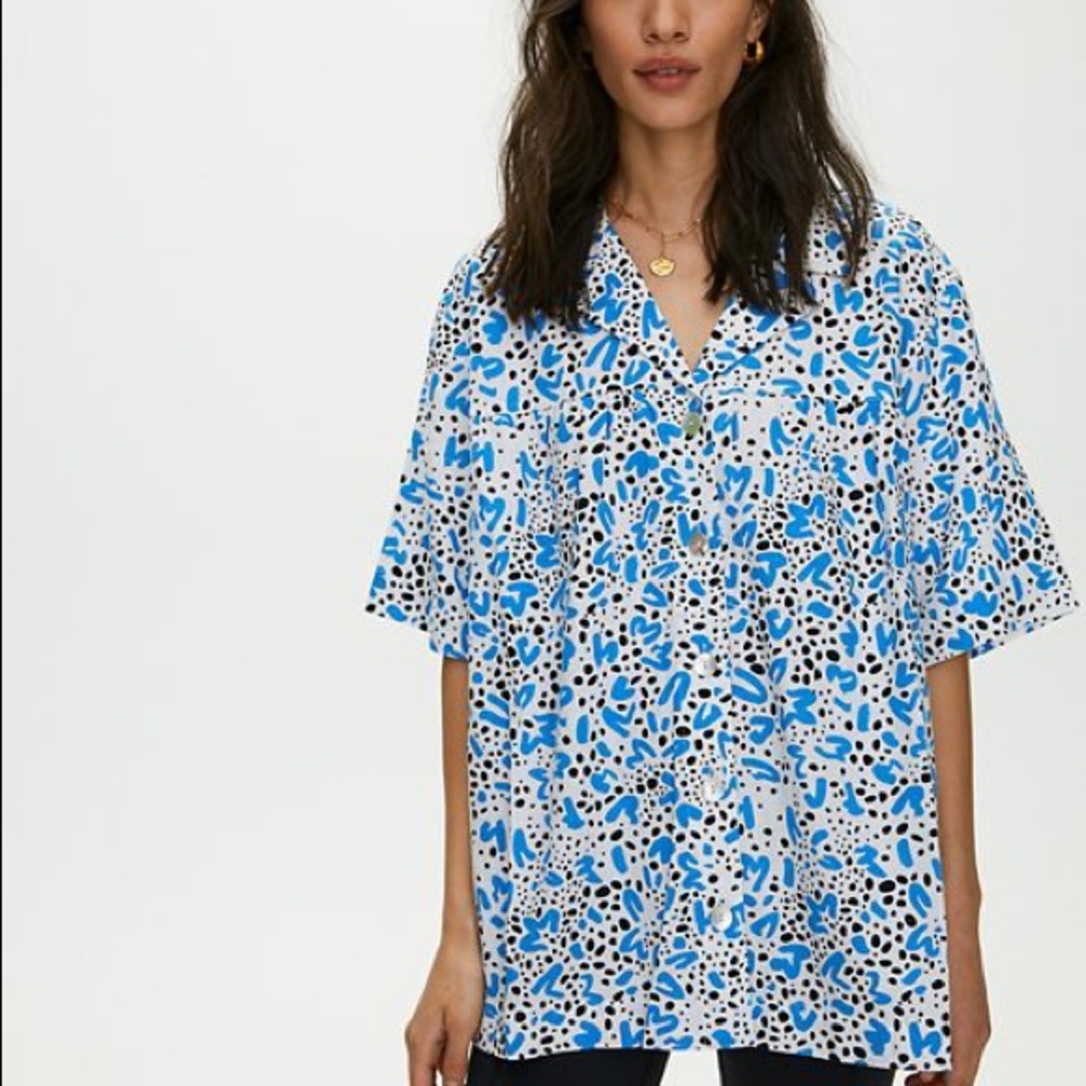 Aritzia Wilfred Shirt